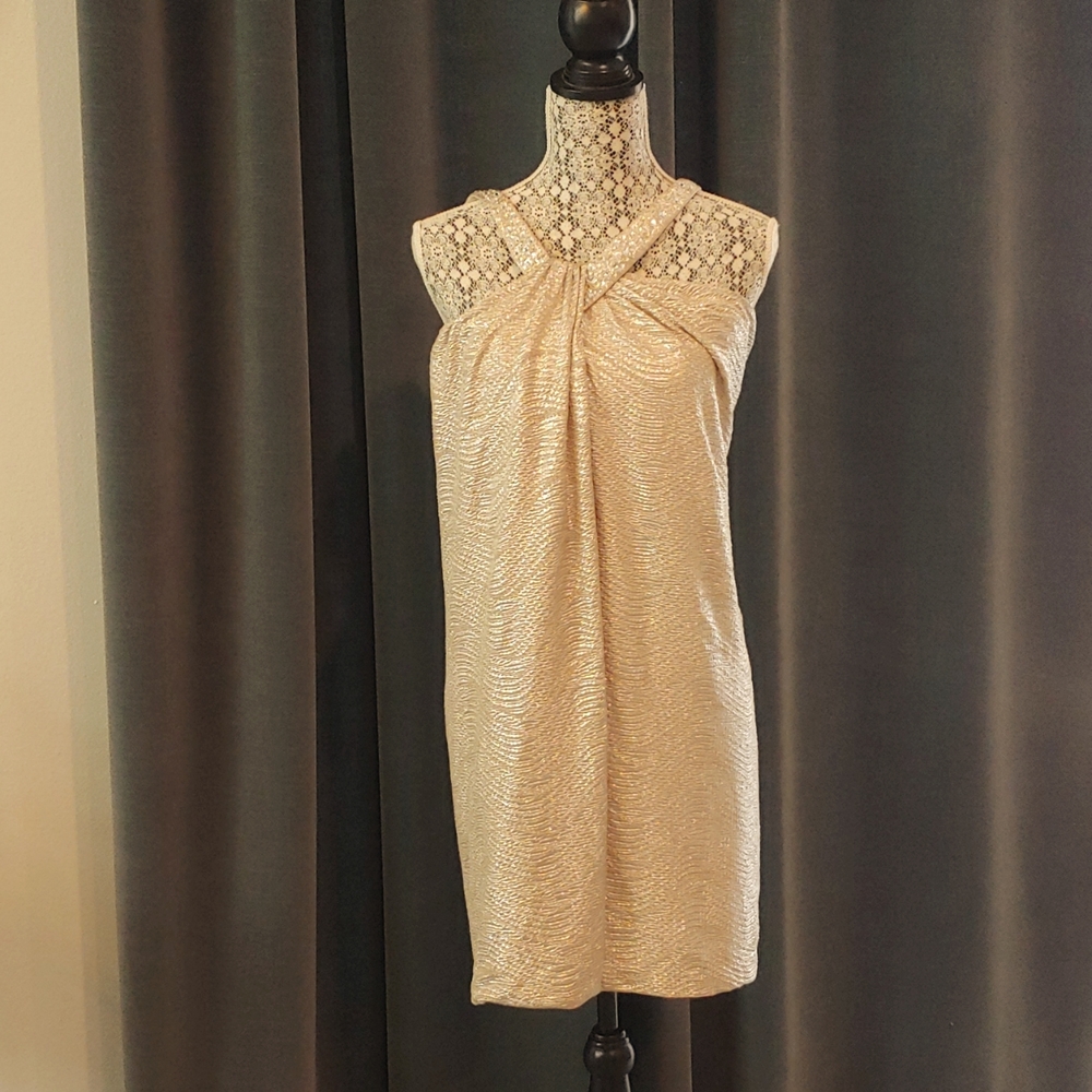 Boston Proper Party Dress!